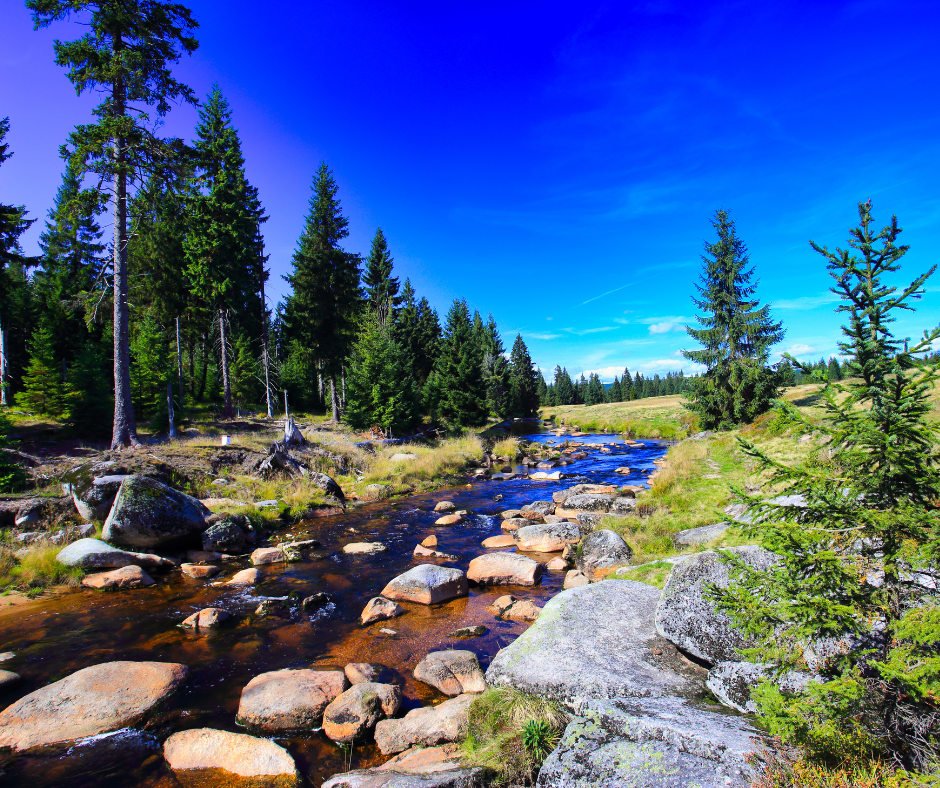 Ciemnoniebieski Zdjęcie Urodziny Post na Facebooka (7)