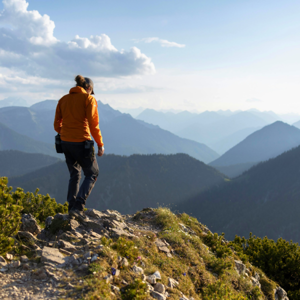 Projekt bez nazwy (1)